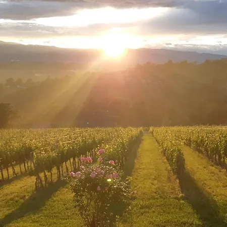 Appartamento Wein- Und Weitblick