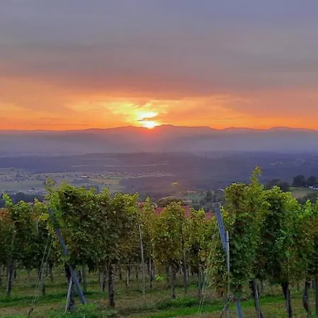 Apartment Wein- Und Weitblick *