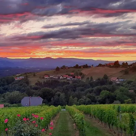 Wein- Und Weitblick