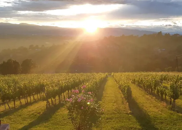 Διαμέρισμα Wein- Und Weitblick