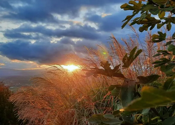 شقة Wein- Und Weitblick