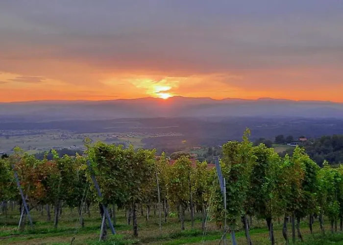 شقة Wein- Und Weitblick *